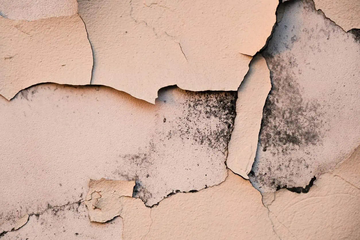 How to Sell a House with Foundation Issues in Colorado Springs